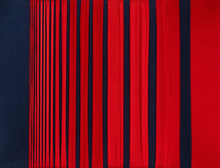 Proiezioni ottiche n. 1 - Composizione geometrica astratta con linee rosse e blu di Bruno Florio
