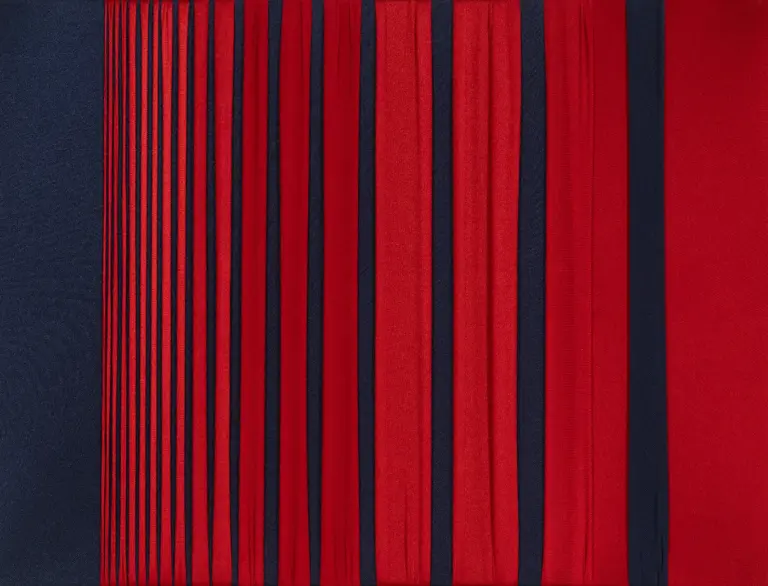 Proiezioni ottiche N 1 - Composizione geometrica astratta con linee rosse e blu di Bruno Florio